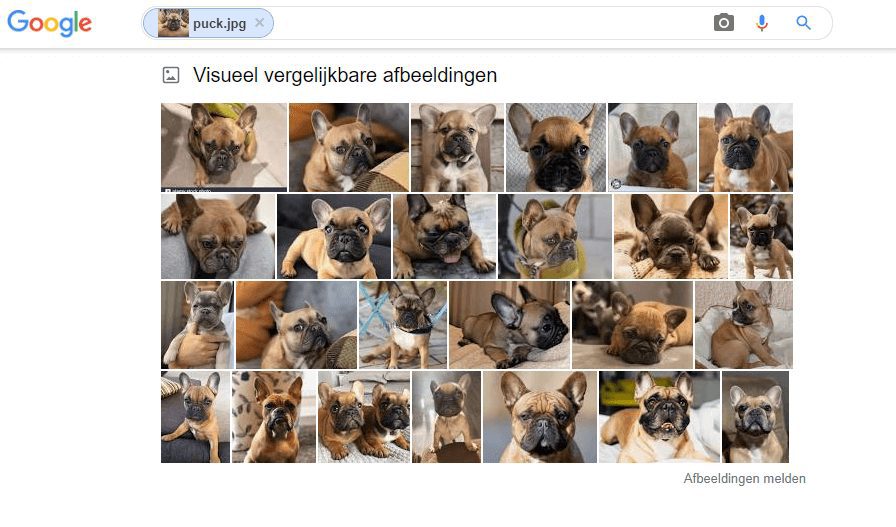 wat is visual search